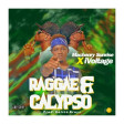 Raggae and Calypso feat iVOLTAGE